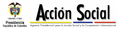 Our Experience Acción Social