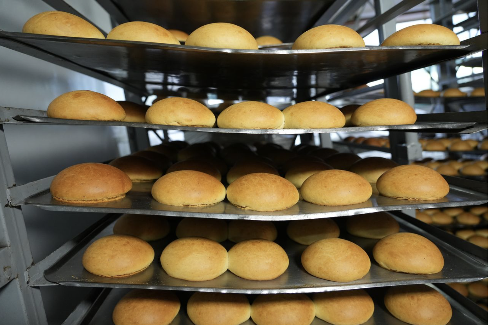 Long life bakery, Earth & Food