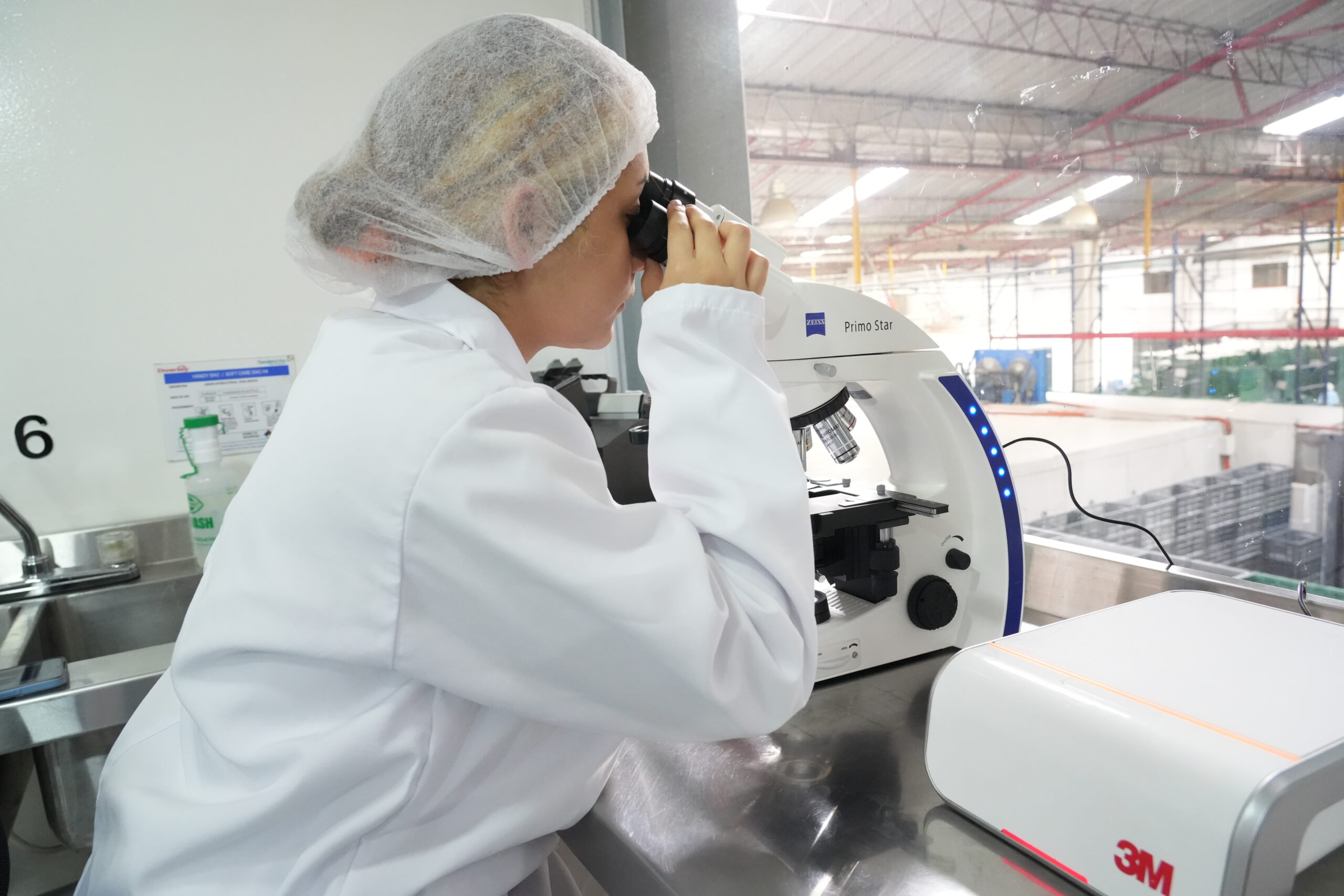 Food production facility with modern technology